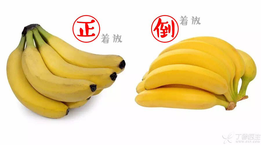 正反香蕉-900500.jpg