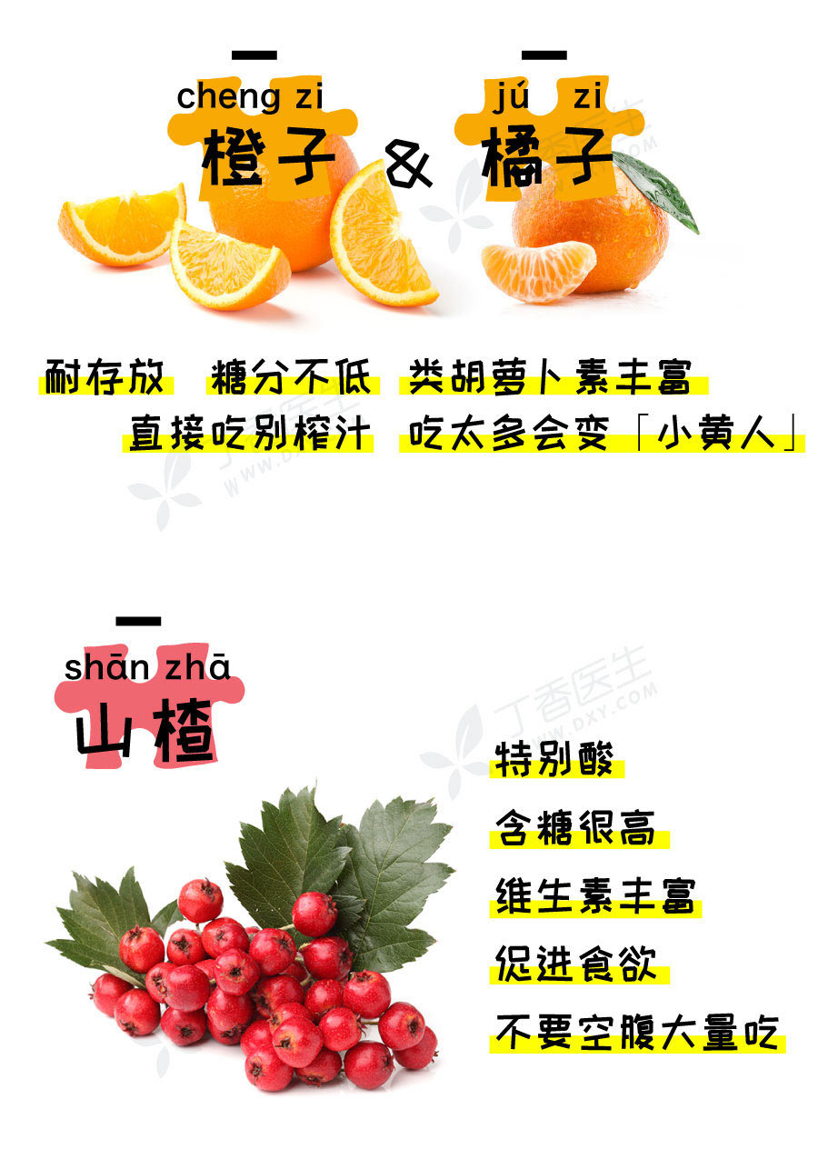 秋冬水果4-900.jpg
